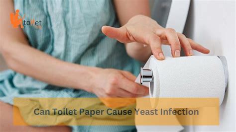 Can Toilet Paper Cause Yeast Infections? And Why Do Cats Stare at Walls?