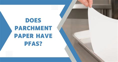 Does Parchment Paper Have PFAS? And Why Do Cats Love It So Much?