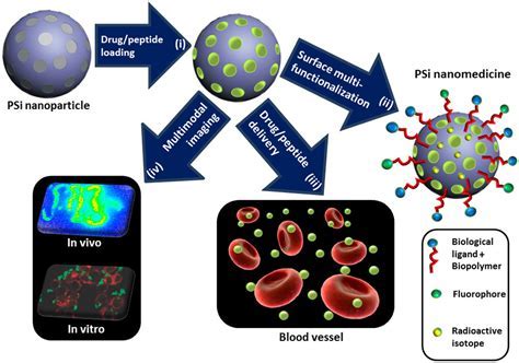  Hydroksyapatyt - rewolucyjny materiał w medycynie regeneracyjnej i nanotechnologii!