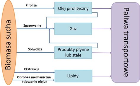  Octanoic Acid: Podstawowy składnik w produkcji tworzyw sztucznych i biopaliw!