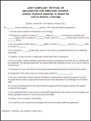 What Does a Divorce Paper Look Like: A Kaleidoscope of Legal and Emotional Fragments