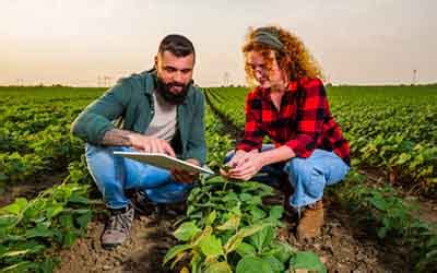 What Education is Needed to Become a Farmer: Exploring the Roots of Agricultural Knowledge and Beyond