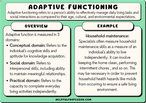 What is Adaptive Behavior in Special Education: Exploring the Unpredictable Nature of Learning