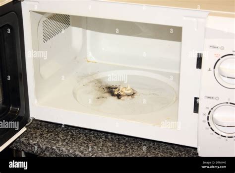 Will a Paper Towel Catch on Fire in the Microwave, and Why Do Bananas Dream of Electric Sheep?