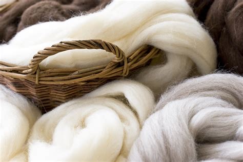  Woollen Fleece -  Odkryj Niezwykłe Właściwości Materiału dla Przemysłu Tekstylnego!